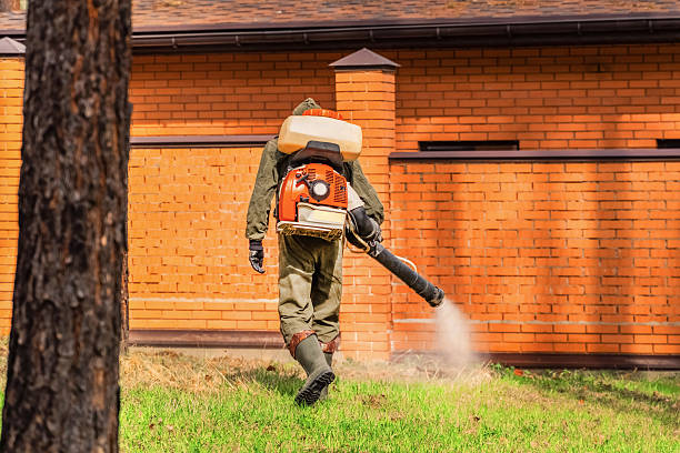 Trusted Cockroach Control service in Cowarts, AL - Nex Pest Control